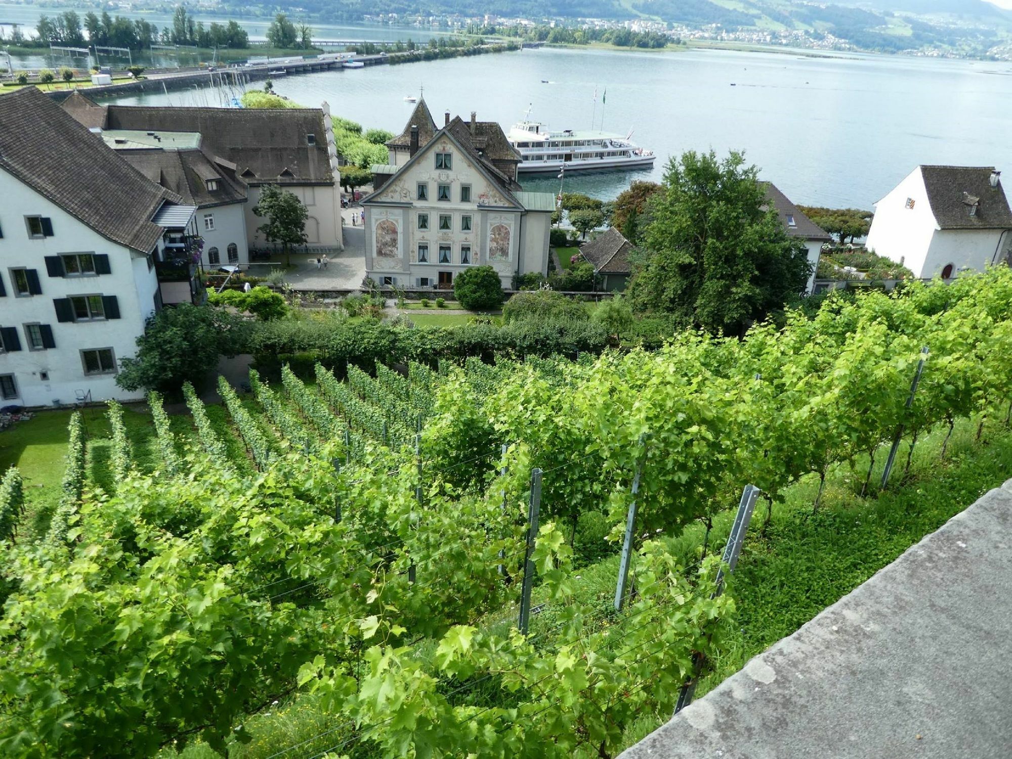 Sorell Hotel Speer Rapperswil-Jona Buitenkant foto